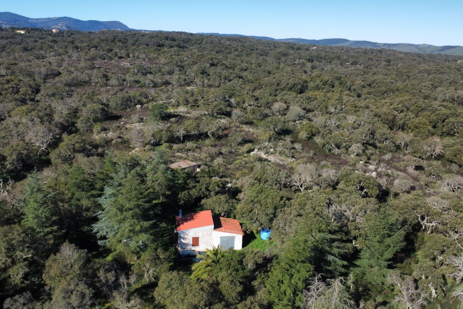 Cork Oak Estate in the Heart of Gallura