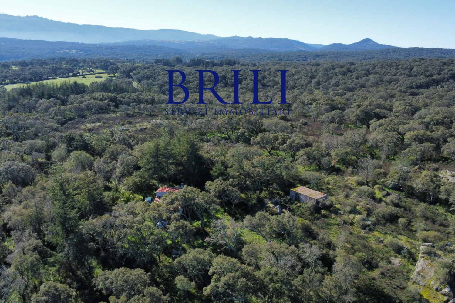 Cork Oak Estate in the Heart of Gallura