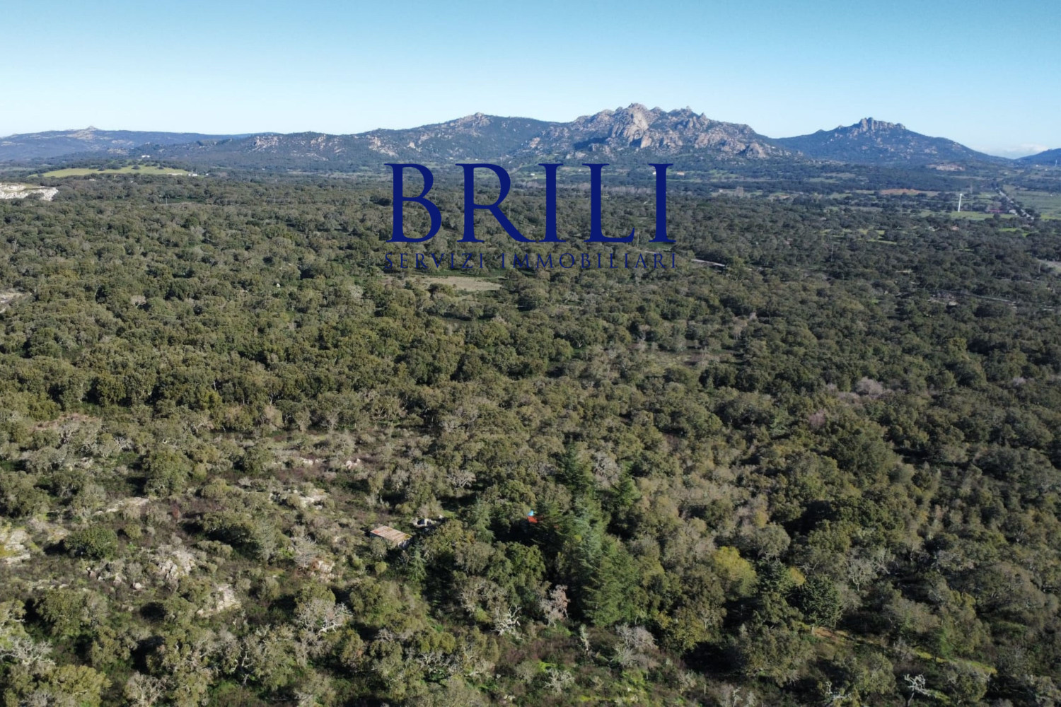 Cork Oak Estate in the Heart of Gallura