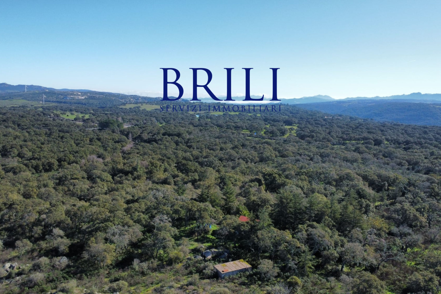 Cork Oak Estate in the Heart of Gallura