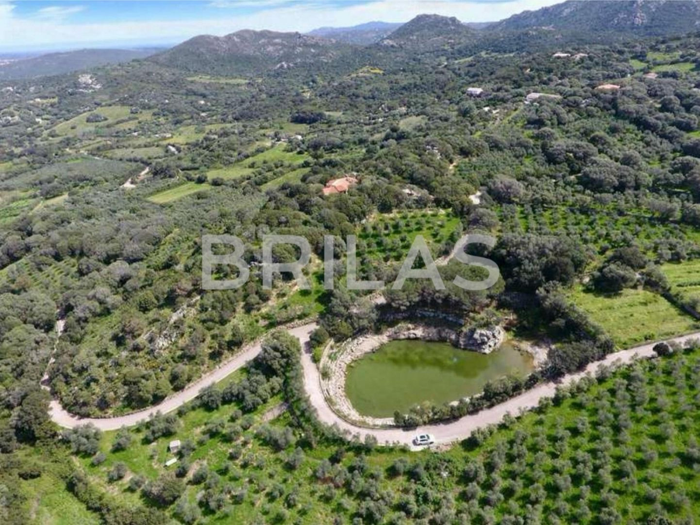 Tenuta di 16 ettari con villa, uliveto e vista mare