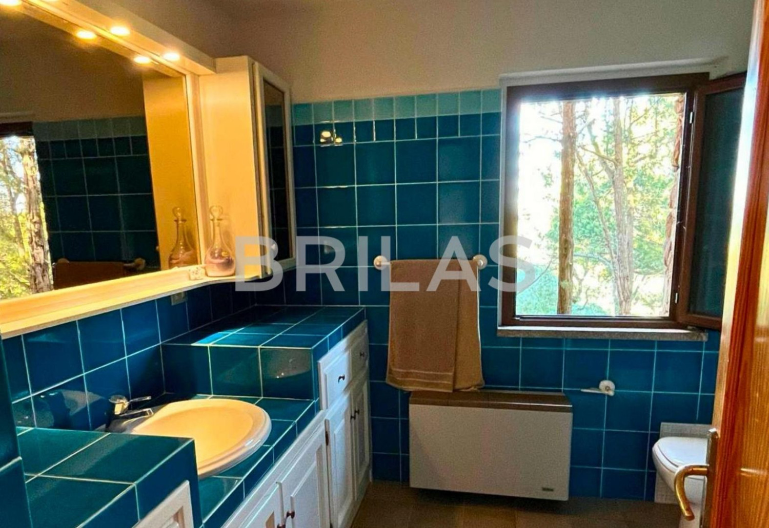 Tenuta di 16 ettari con villa, uliveto e vista mare