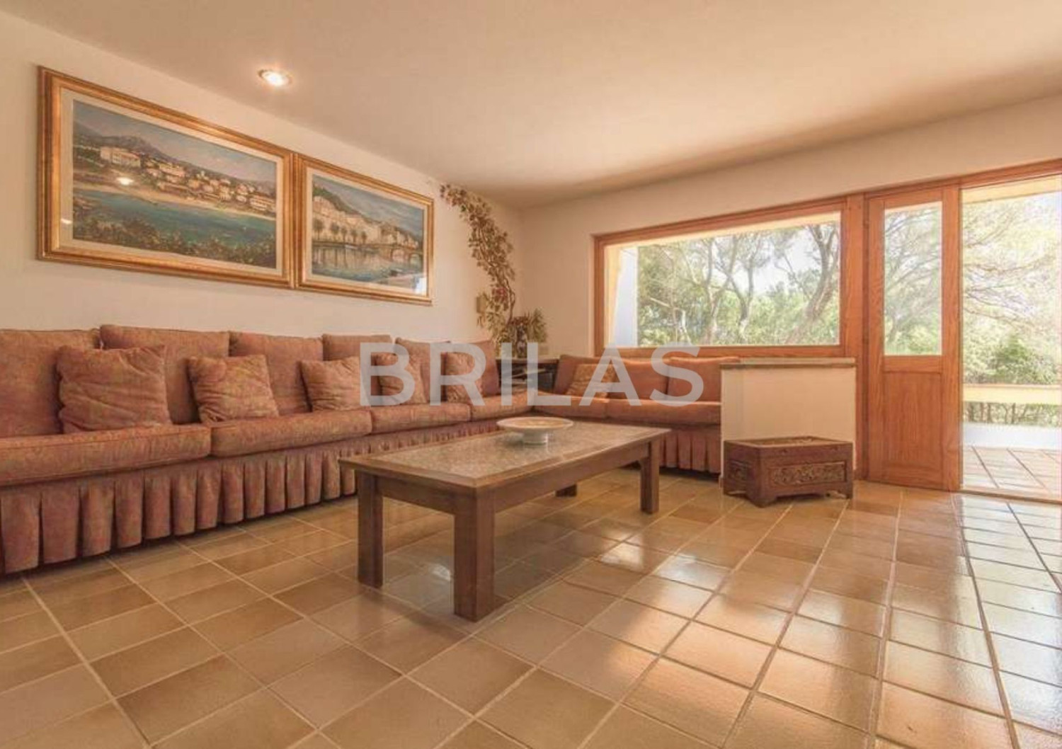 Tenuta di 16 ettari con villa, uliveto e vista mare