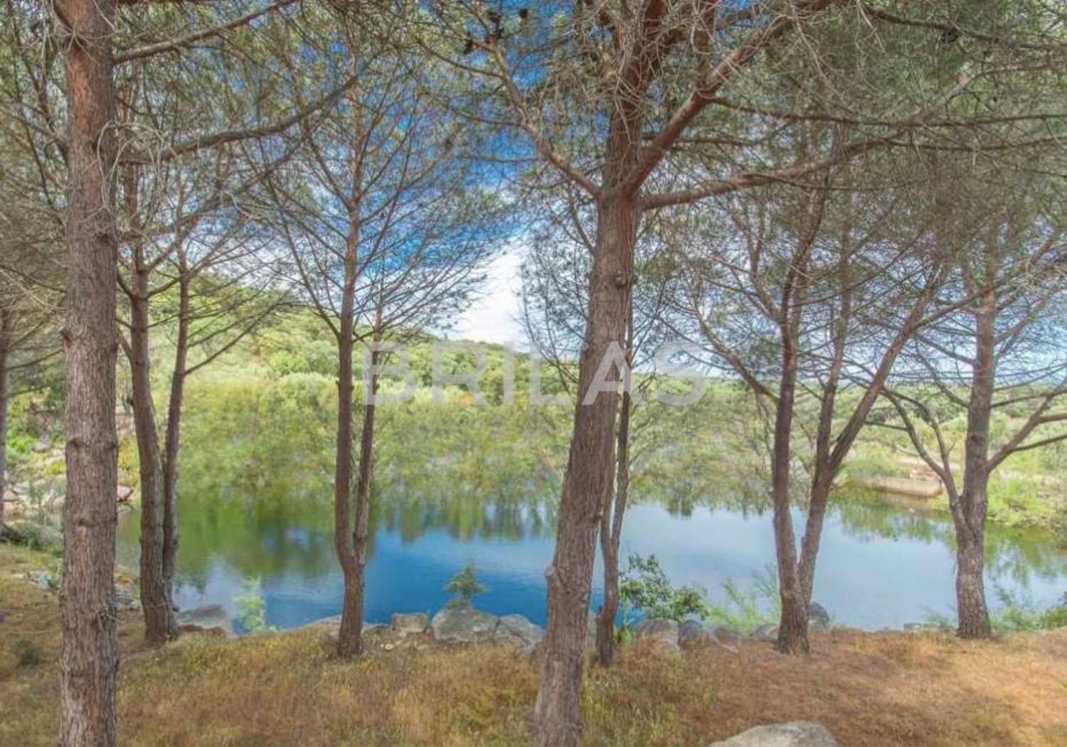 Tenuta di 16 ettari con villa, uliveto e vista mare