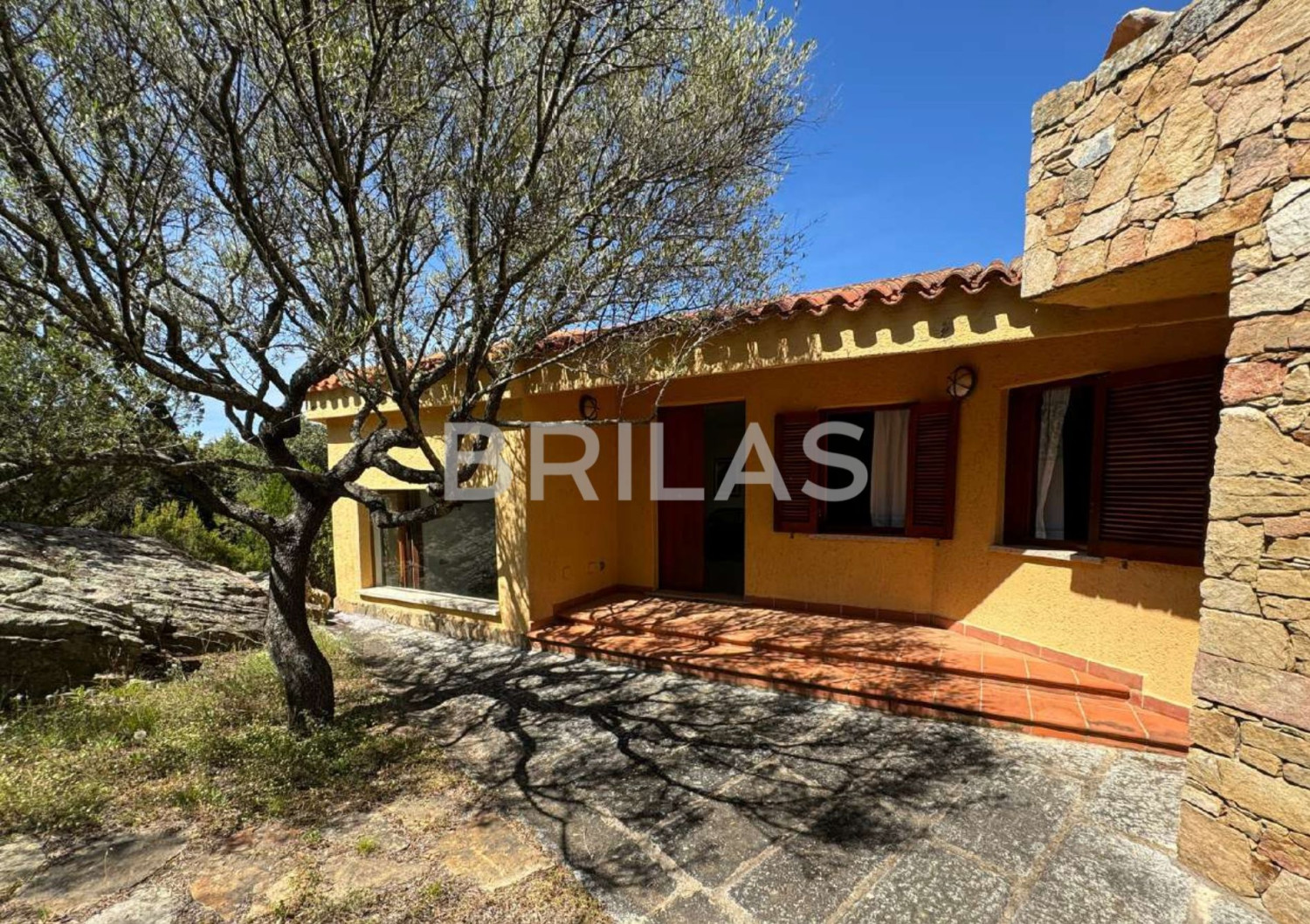 Tenuta di 16 ettari con villa, uliveto e vista mare