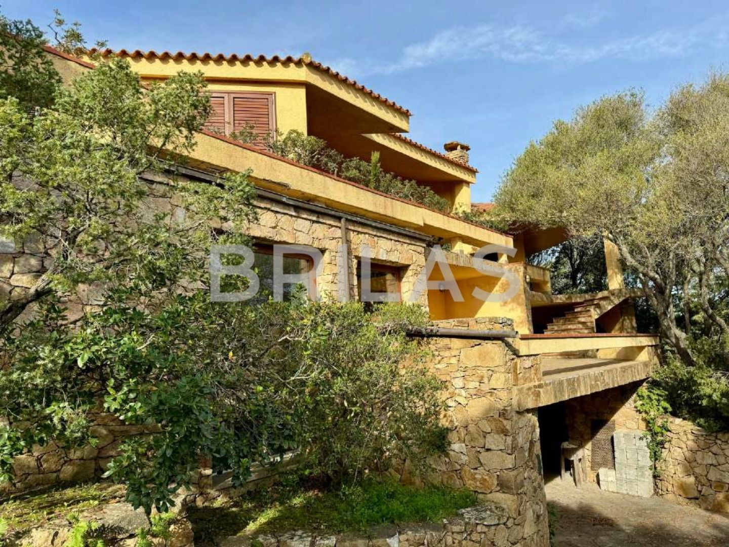 Tenuta di 16 ettari con villa, uliveto e vista mare