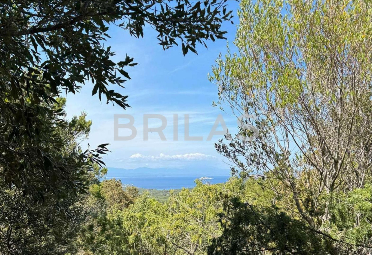 Tenuta di 16 ettari con villa, uliveto e vista mare