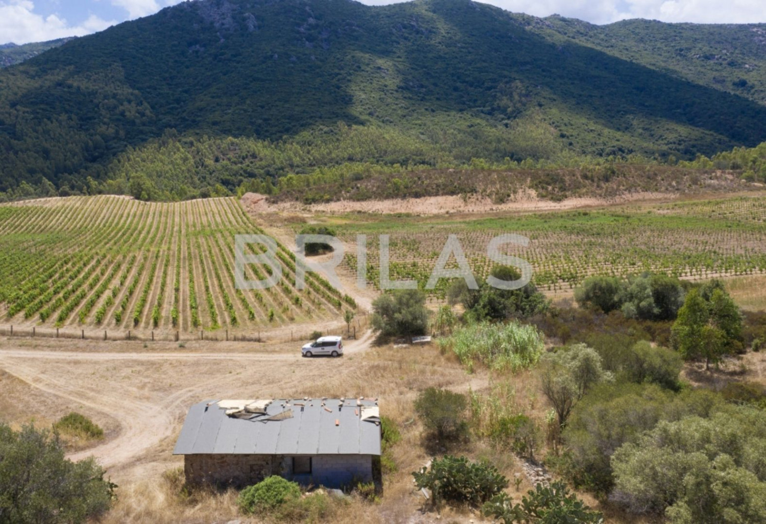 Tenuta vitivinicola biologica con 160 ettari e vista mare