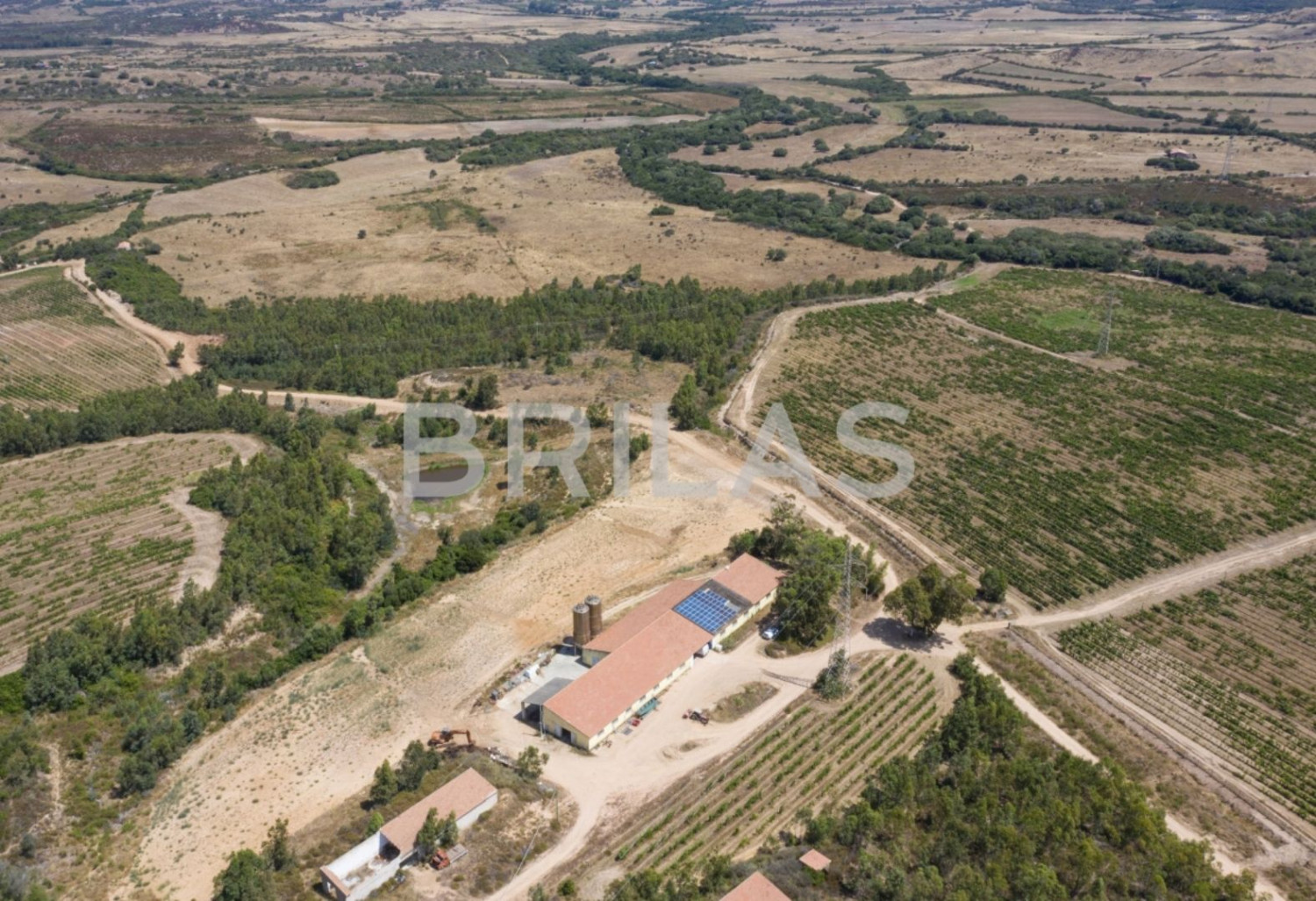 Tenuta vitivinicola biologica con 160 ettari e vista mare