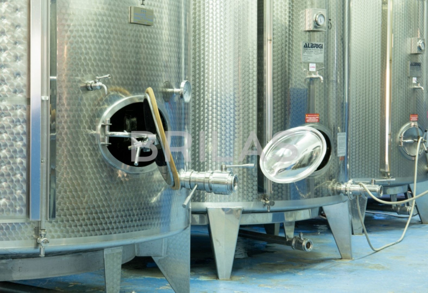 Tenuta vitivinicola biologica con 160 ettari e vista mare