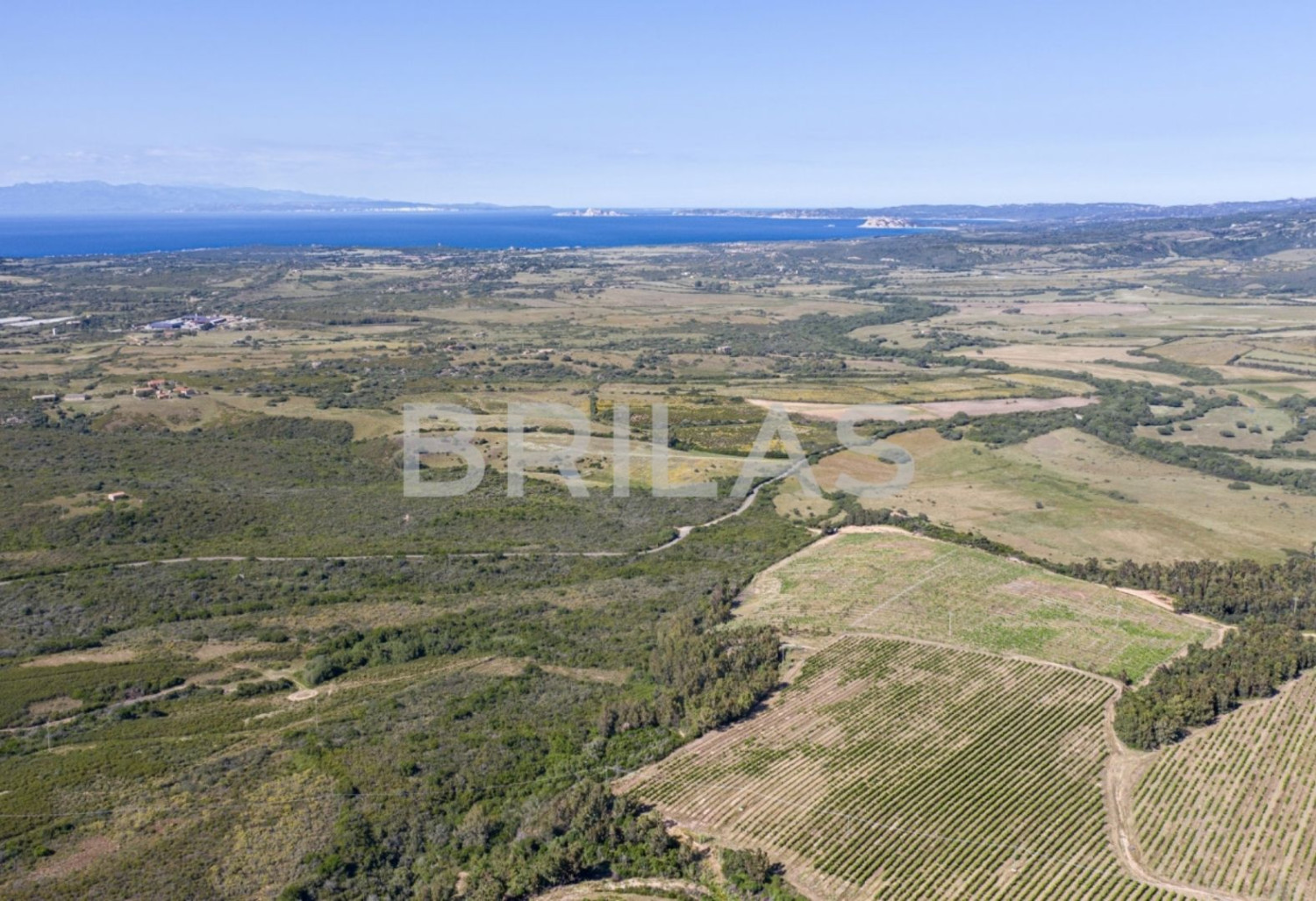 Tenuta vitivinicola biologica con 160 ettari e vista mare