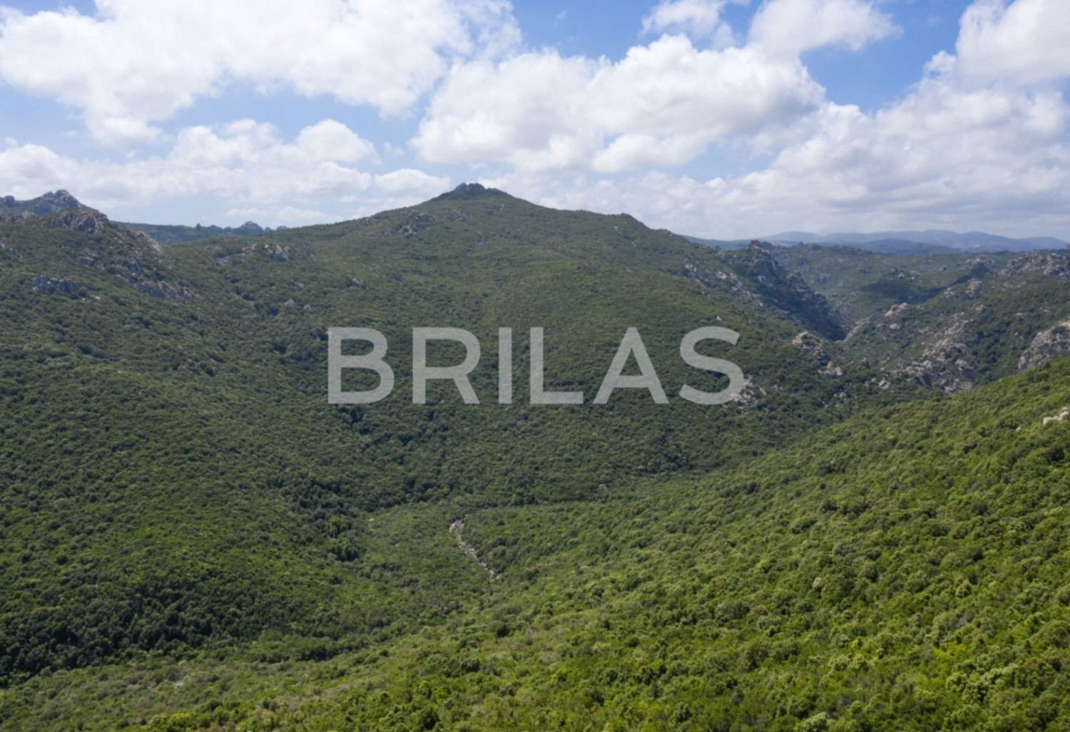 Tenuta vitivinicola biologica con 160 ettari e vista mare