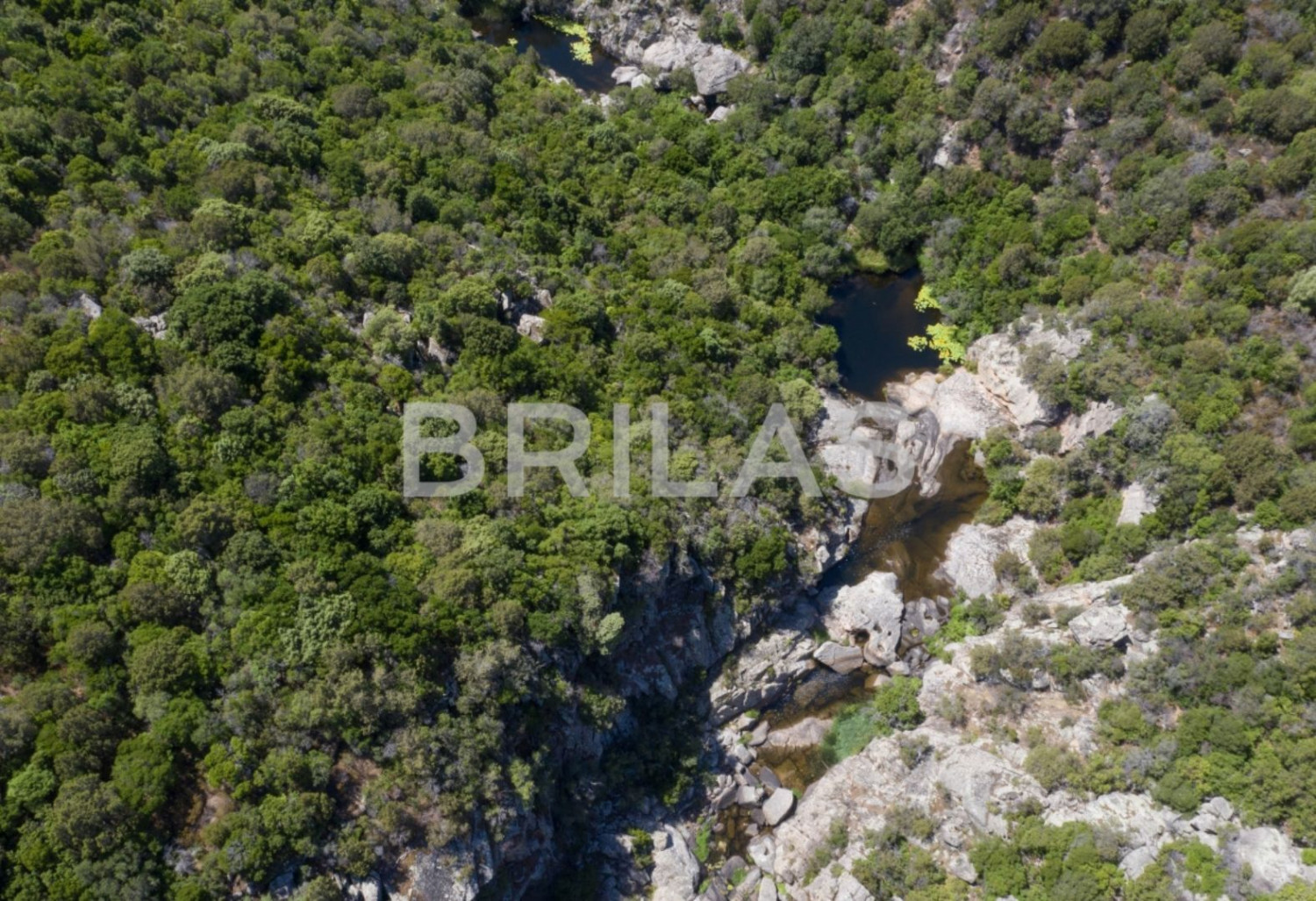 Tenuta vitivinicola biologica con 160 ettari e vista mare