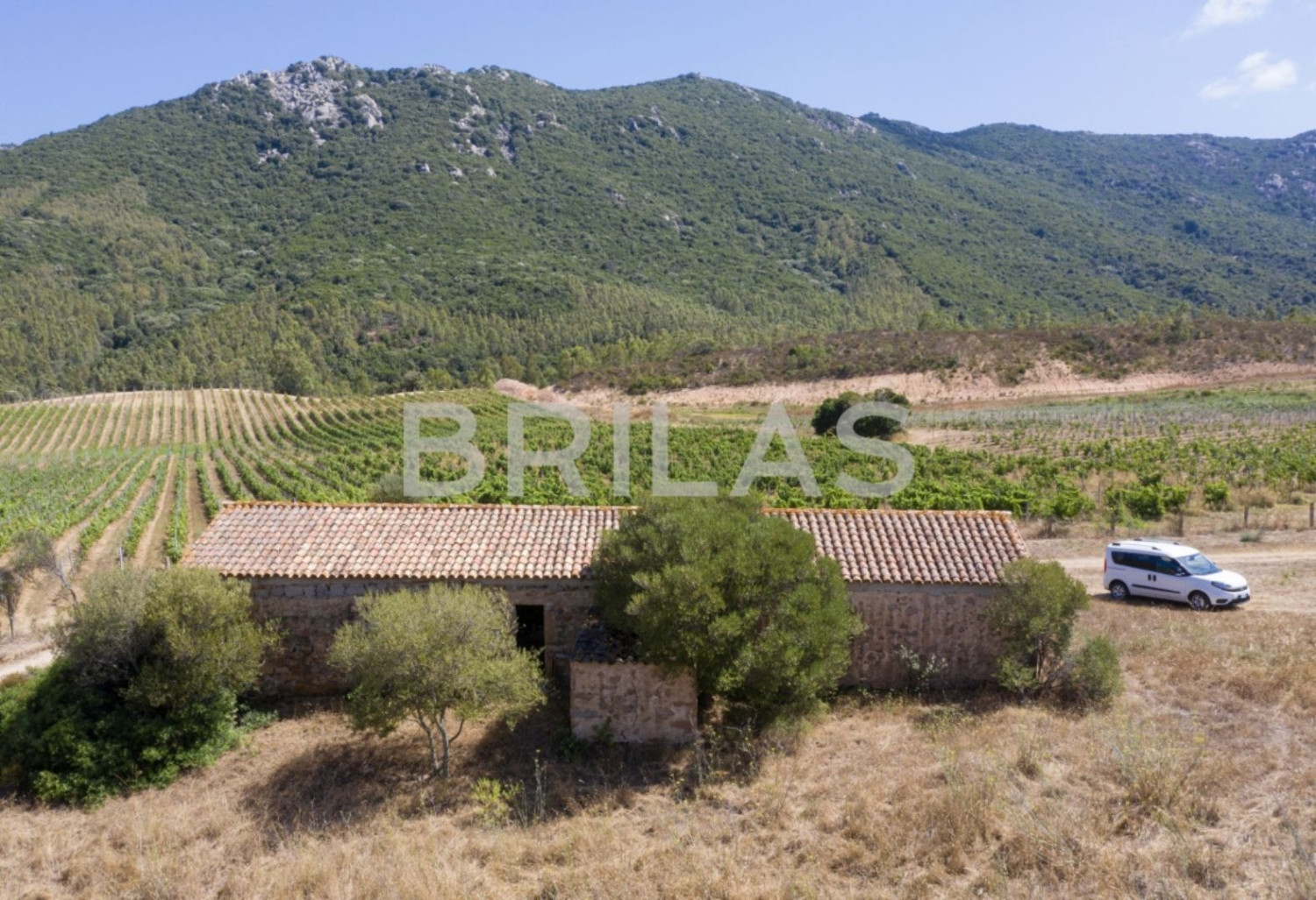 Tenuta vitivinicola biologica con 160 ettari e vista mare
