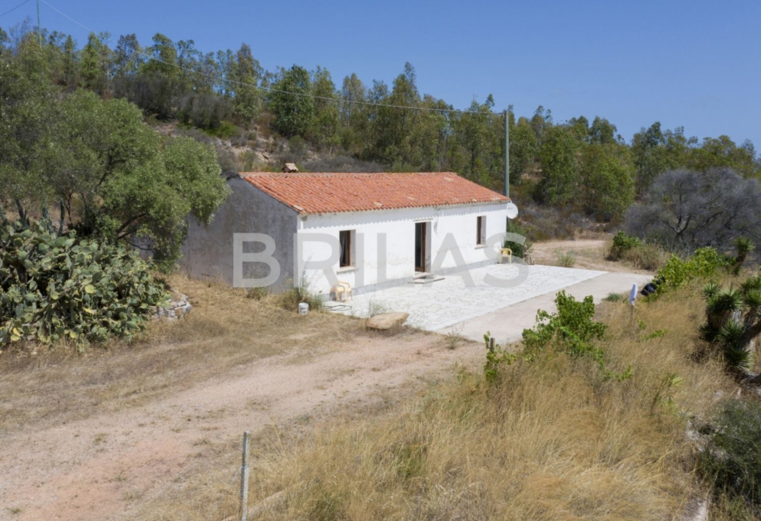 Tenuta vitivinicola biologica con 160 ettari e vista mare