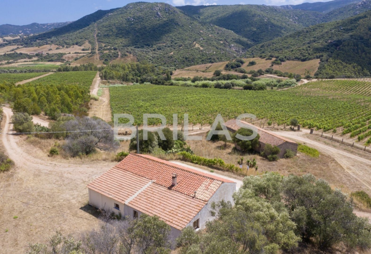 Tenuta vitivinicola biologica con 160 ettari e vista mare