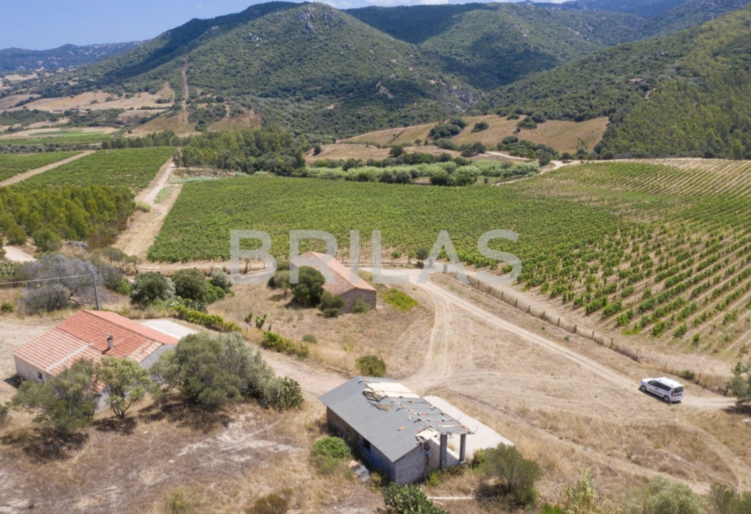 Tenuta vitivinicola biologica con 160 ettari e vista mare