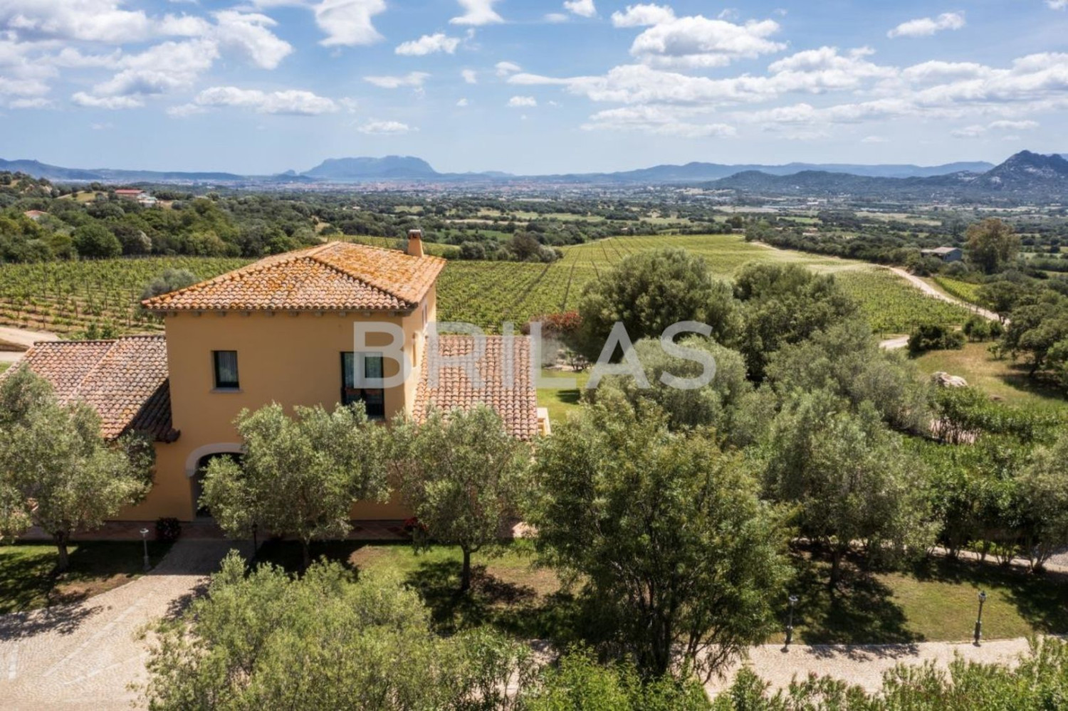 Tenuta Monte Pino – Prestigious estate with vineyard and sea views