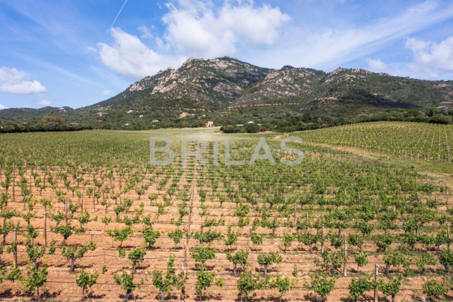 Tenuta Monte Pino – Prestigious estate with vineyard and sea views