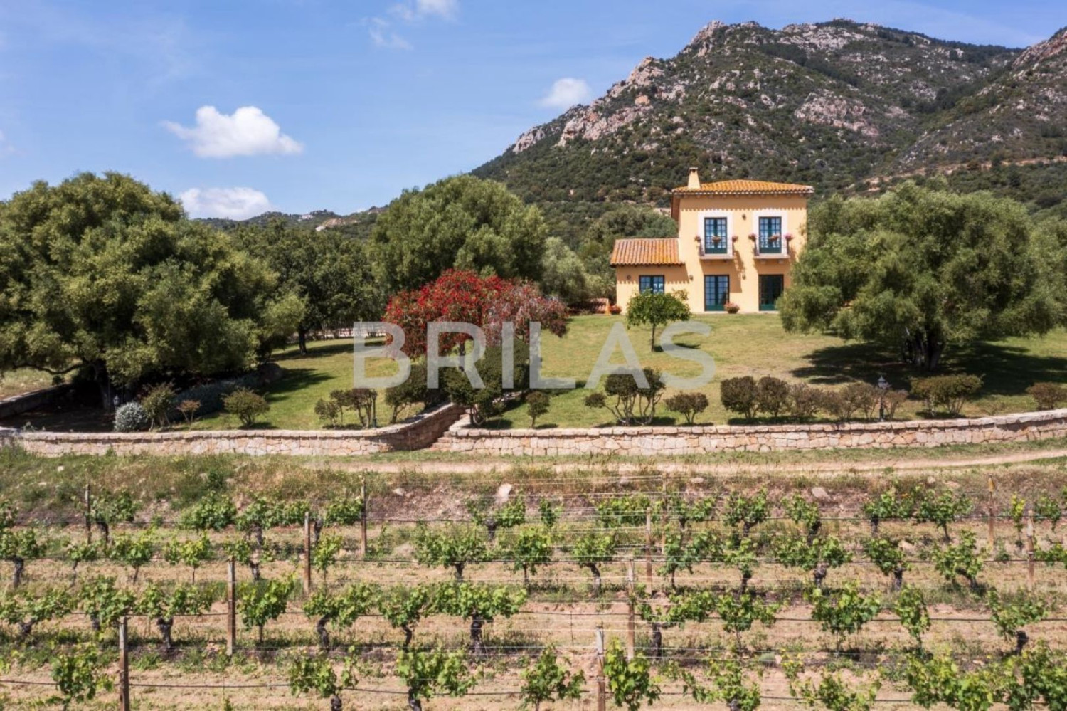Tenuta Monte Pino – Prestigious estate with vineyard and sea views