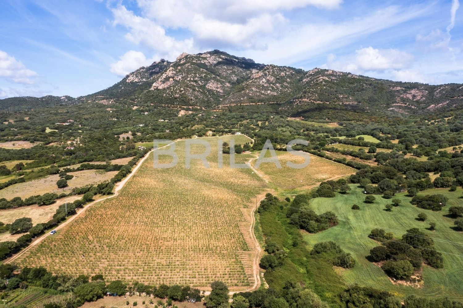 Tenuta Monte Pino – Prestigious estate with vineyard and sea views