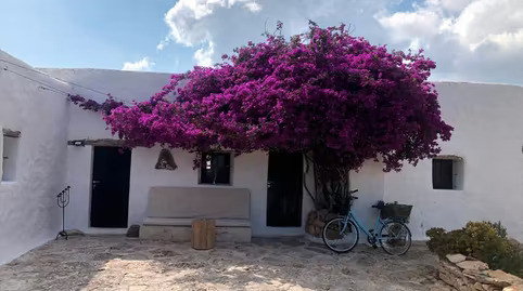 Villa Formentera