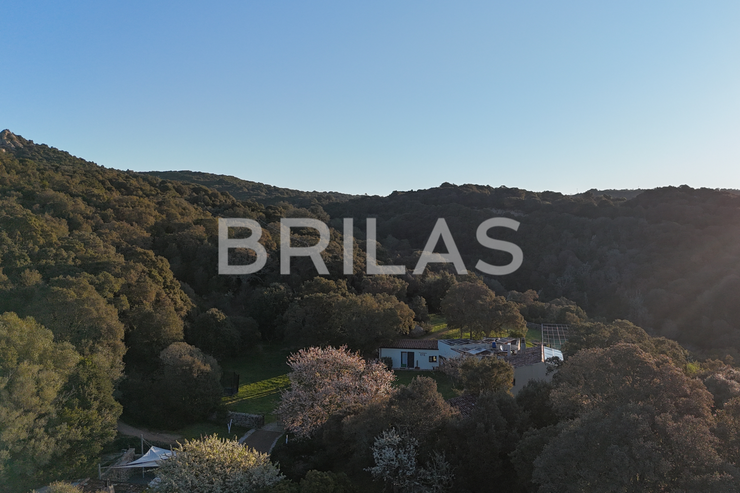 Gallura autentica: charme rurale e investimento nel cuore della natura