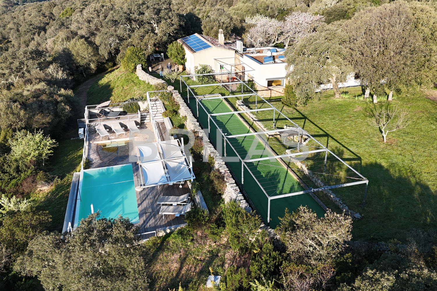 Gallura autentica: charme rurale e investimento nel cuore della natura