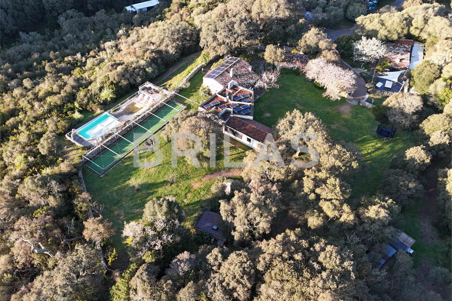 Gallura autentica: charme rurale e investimento nel cuore della natura