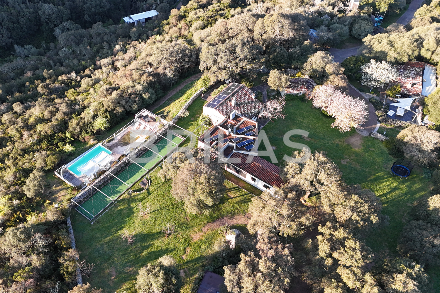 Gallura autentica: charme rurale e investimento nel cuore della natura