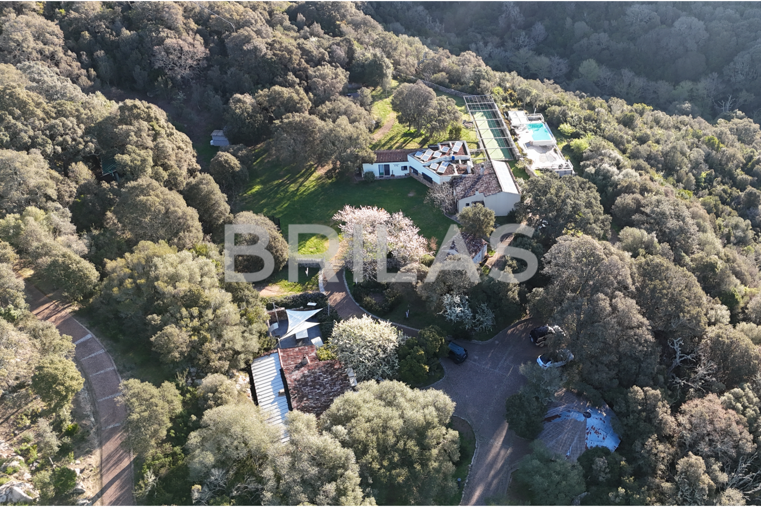 Gallura autentica: charme rurale e investimento nel cuore della natura