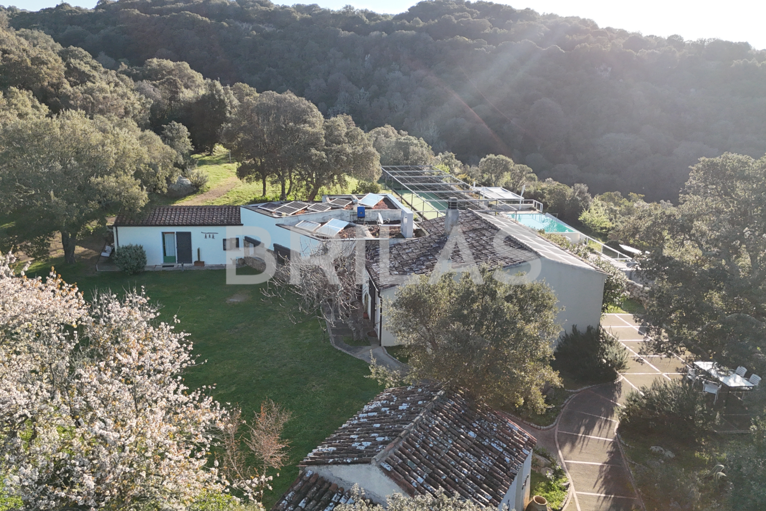 Gallura autentica: charme rurale e investimento nel cuore della natura