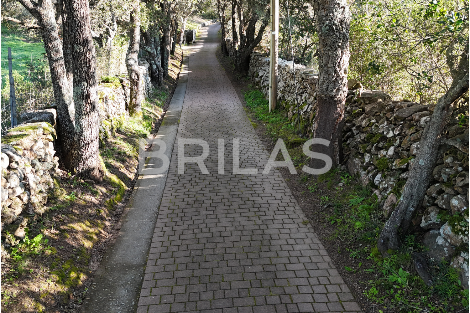 Gallura autentica: charme rurale e investimento nel cuore della natura