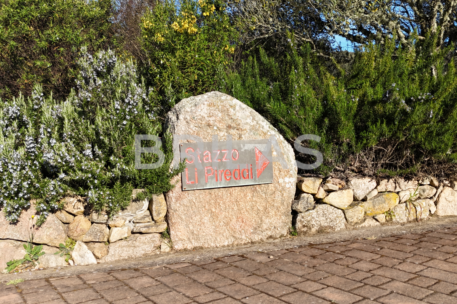 Gallura autentica: charme rurale e investimento nel cuore della natura