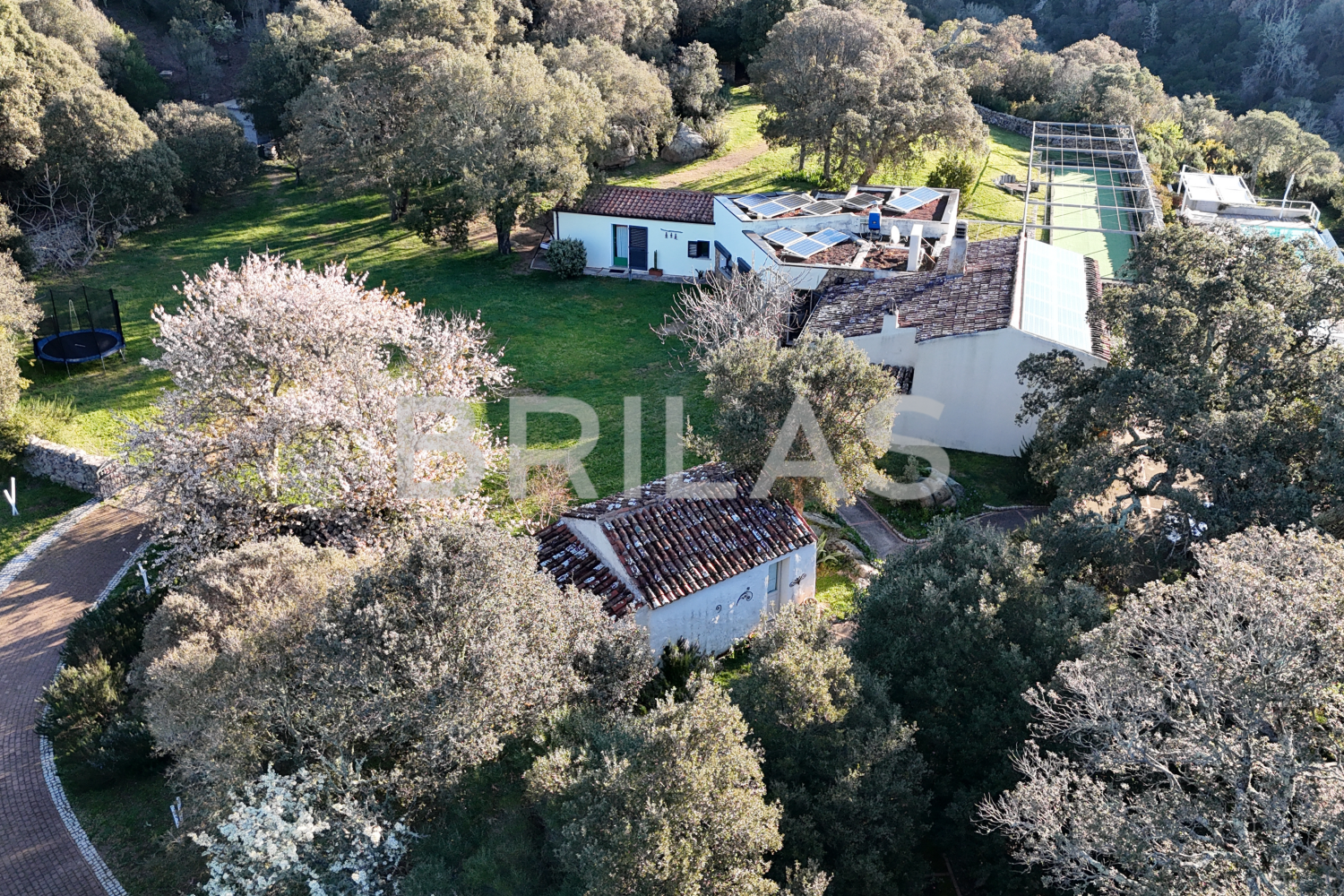 Gallura autentica: charme rurale e investimento nel cuore della natura