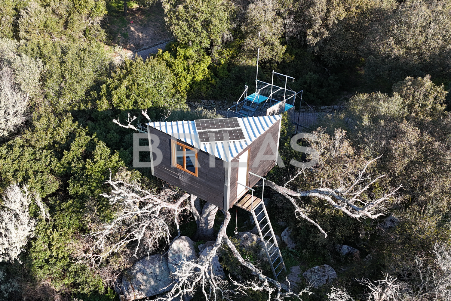 Gallura autentica: charme rurale e investimento nel cuore della natura