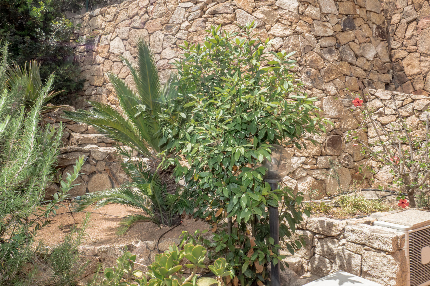 Porto San Paolo - Villa vista mare