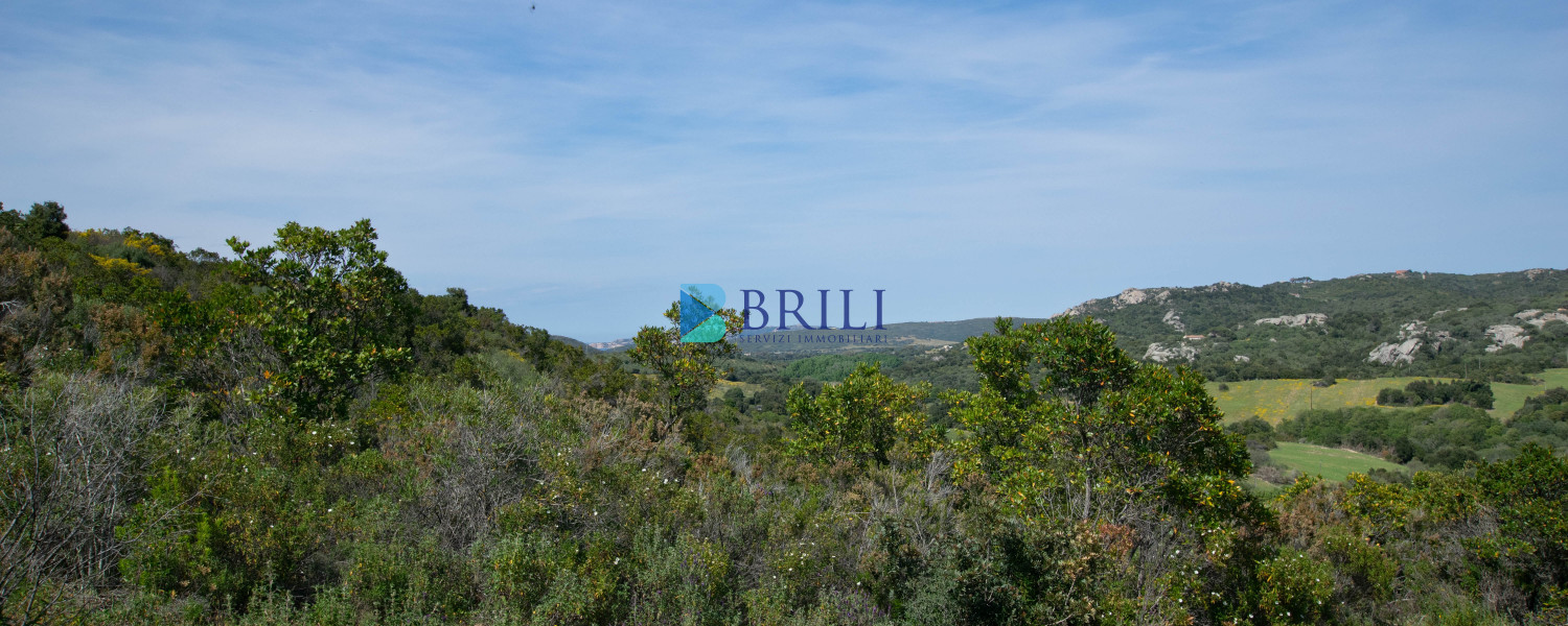 Terreno agricolo a soli 7 km da Palau