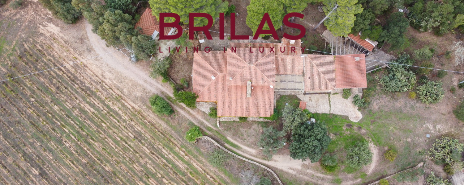 Villa rustica con vigna e uliveto