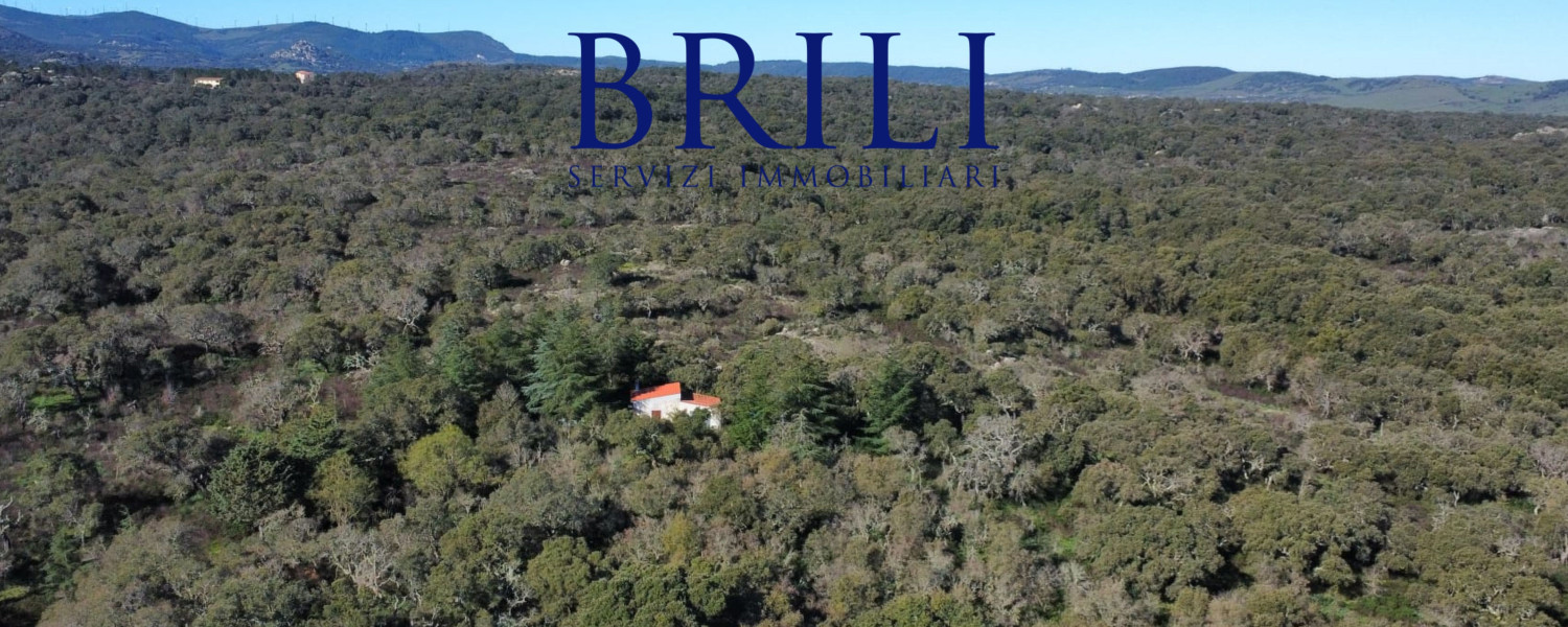 Cork Oak Estate in the Heart of Gallura