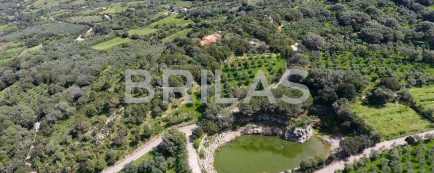 Tenuta di 16 ettari con villa, uliveto e vista mare