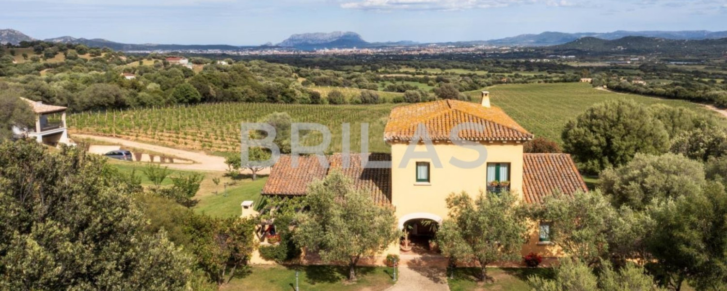 Tenuta Monte Pino – Prestigious estate with vineyard and sea views