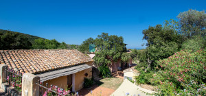  San Pantaleo Stazzo Gallurese and building used as a B&B