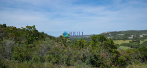 Terreno agricolo a soli 7 km da Palau