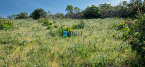 Agricultural land just 7 km from Palau