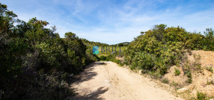 Terreno agricolo a soli 7 km da Palau