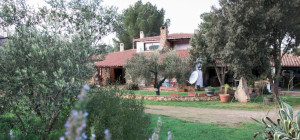 Villa immersa nel verde