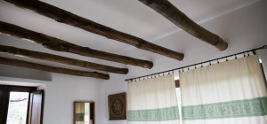 Villa immersa nel verde