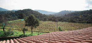 Villa immersa nel verde