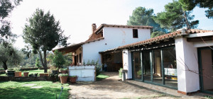 Villa immersa nel verde